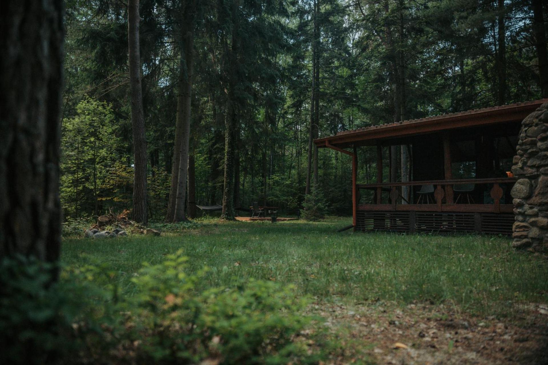 Forest Cabin - 50Min Od Warszawy Wola Polska Екстер'єр фото