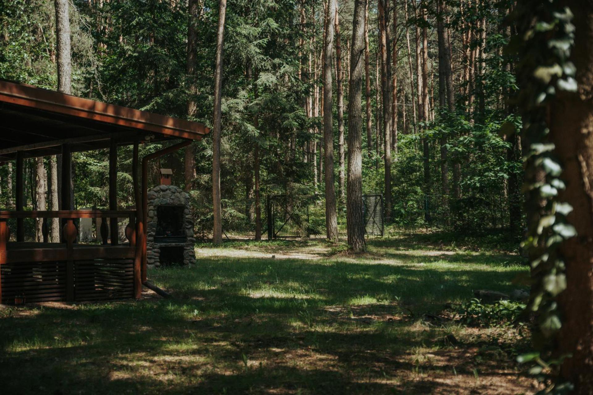 Forest Cabin - 50Min Od Warszawy Wola Polska Екстер'єр фото