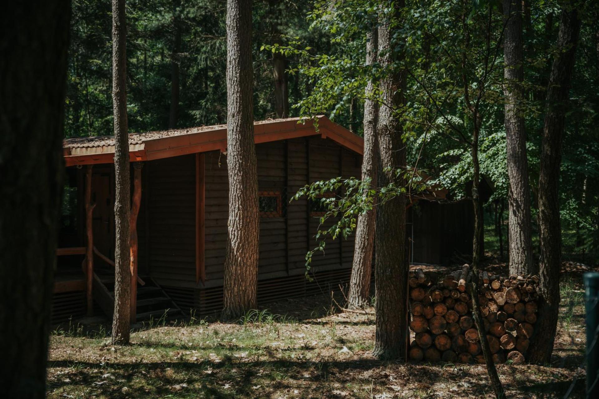 Forest Cabin - 50Min Od Warszawy Wola Polska Екстер'єр фото