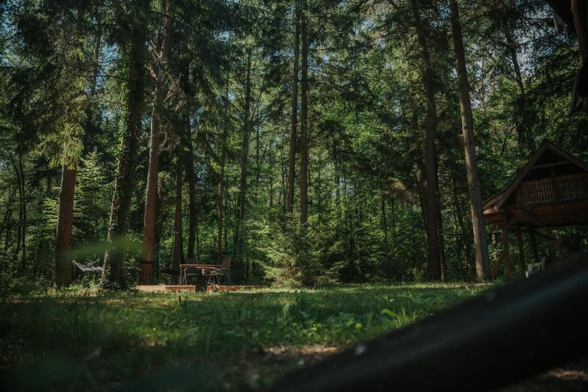 Forest Cabin - 50Min Od Warszawy Wola Polska Екстер'єр фото