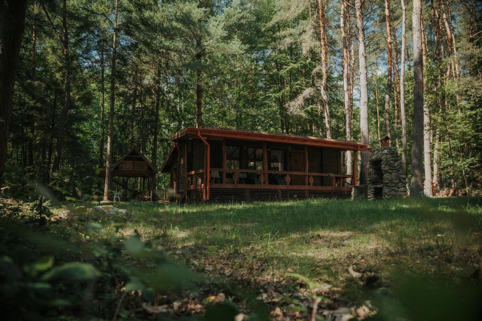 Forest Cabin - 50Min Od Warszawy Wola Polska Екстер'єр фото