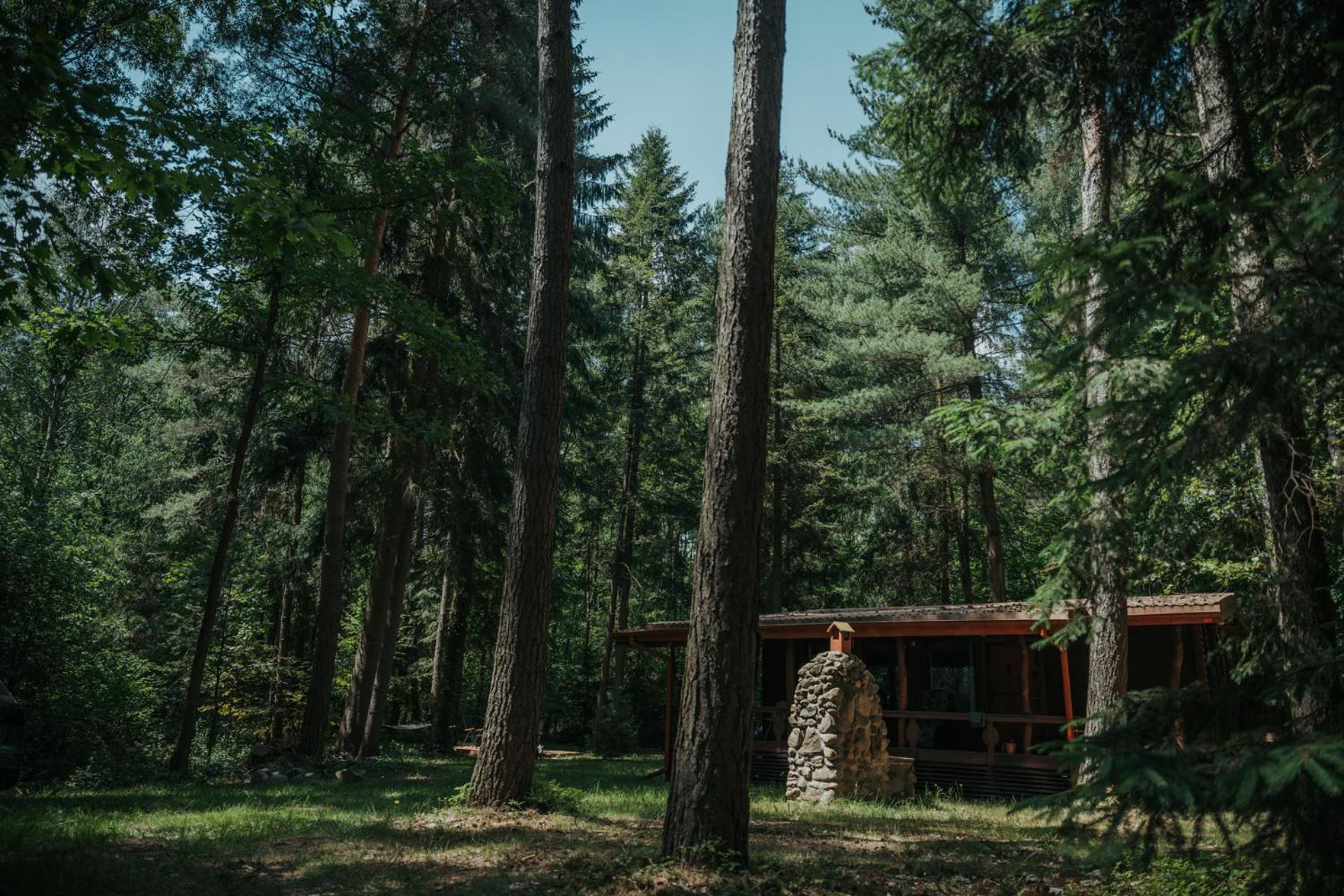 Forest Cabin - 50Min Od Warszawy Wola Polska Екстер'єр фото