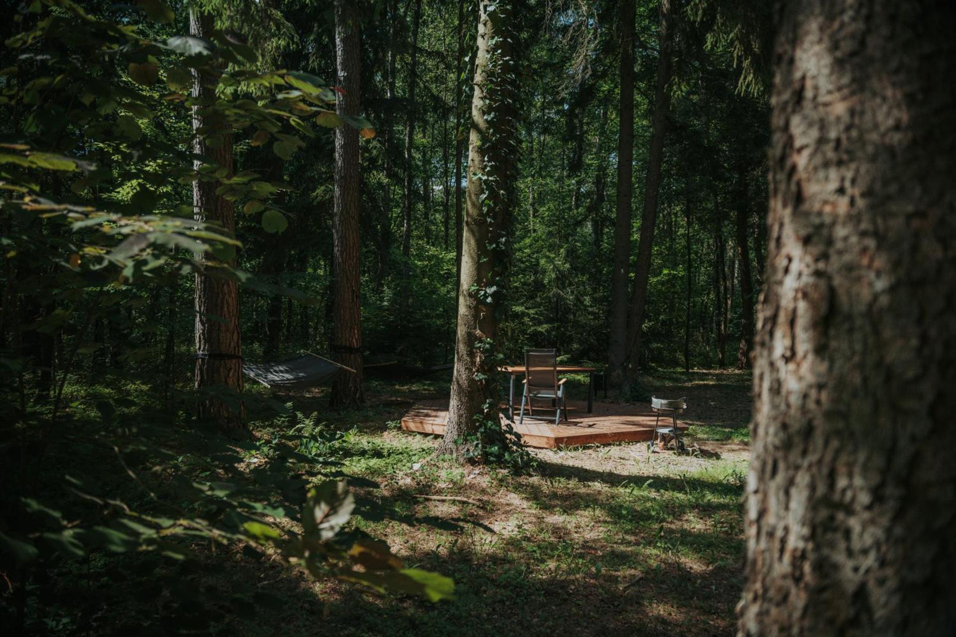 Forest Cabin - 50Min Od Warszawy Wola Polska Екстер'єр фото