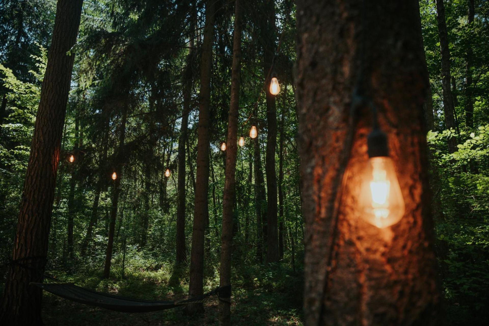 Forest Cabin - 50Min Od Warszawy Wola Polska Екстер'єр фото
